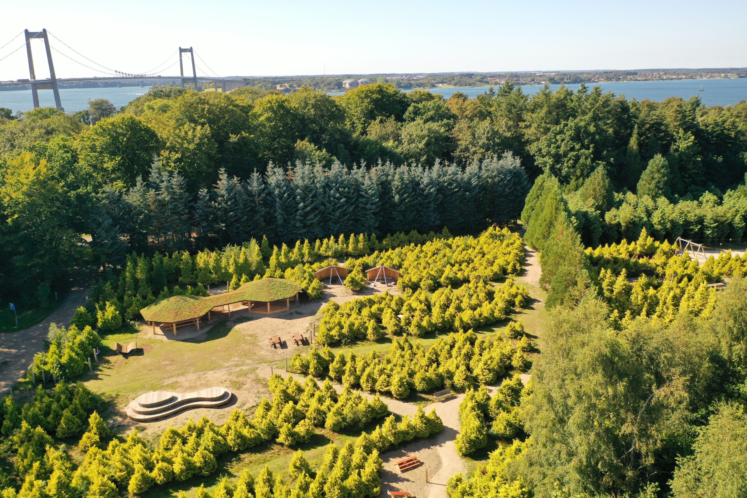 Dronebillede af skovområde med lysning med sheltere. Lillebælt i baggrunden.